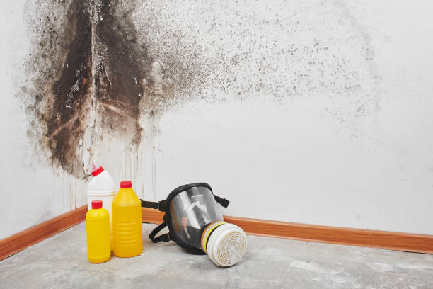Best Crawl Space Mold Removal  in Twin Lakes, NM