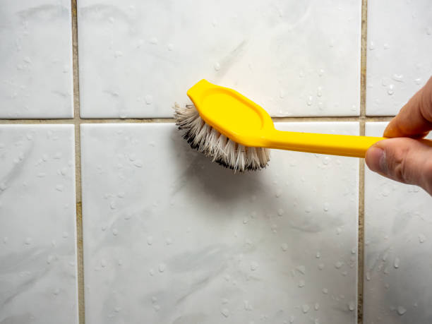 Best Mold Removal Near Me  in Twin Lakes, NM