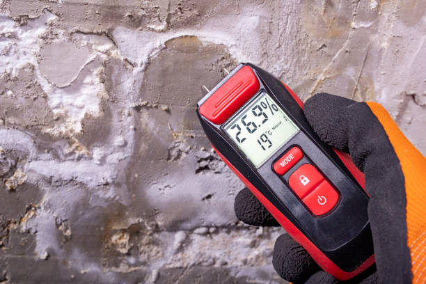 Best Affordable Mold Removal  in Twin Lakes, NM